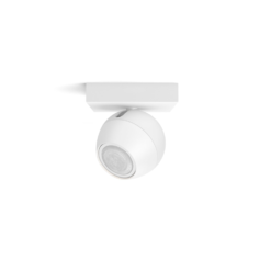 Buckram single spotlight 06