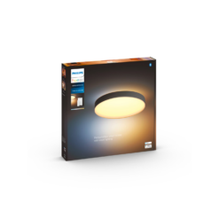 Enrave ceiling light