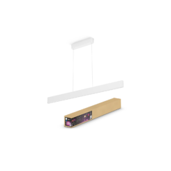 Philips HUE Ensis 13 Ensis White 1