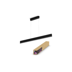 Philips HUE Ensis 12 Ensis black