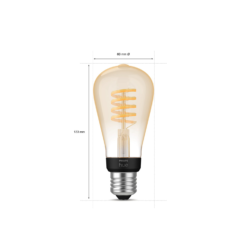 Philips HUE Single bulb Filament A60-ST64-ST72-G93-G125 32 Filament Edison 05 1
