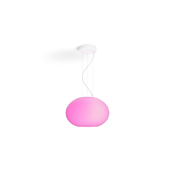 Trang chủ 156 Philips HUE Flourish