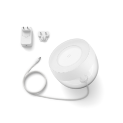 Philips HUE Iris 16 Iris table lamp 03