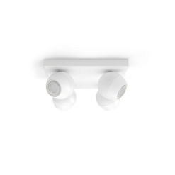 Philips HUE Buckram 03