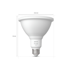 Philips HUE PAR38 outdoor 9 Single PAR38 03