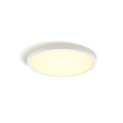 Philips Hue Tento 26 Philips Hue Tento WA 11