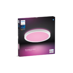 Philips Hue Tento WAC 04