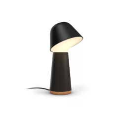Philips Hue Twilight