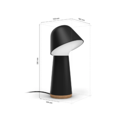 Philips Hue Twilight 03