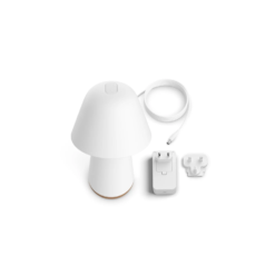 Philips Hue Twilight 08