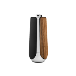 Alternative view of B&O Beolab 50